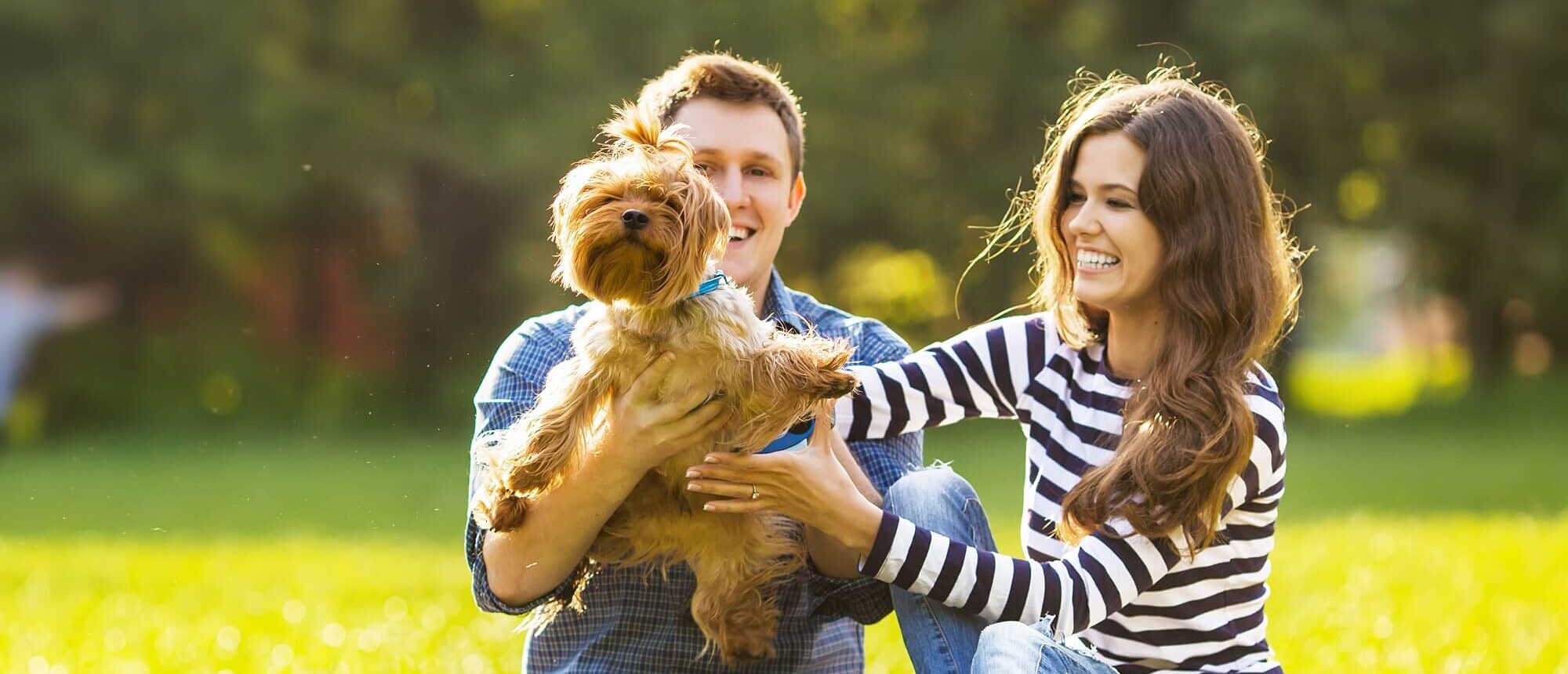 Happy couple sitting on a picnic blanket holding a small dog.